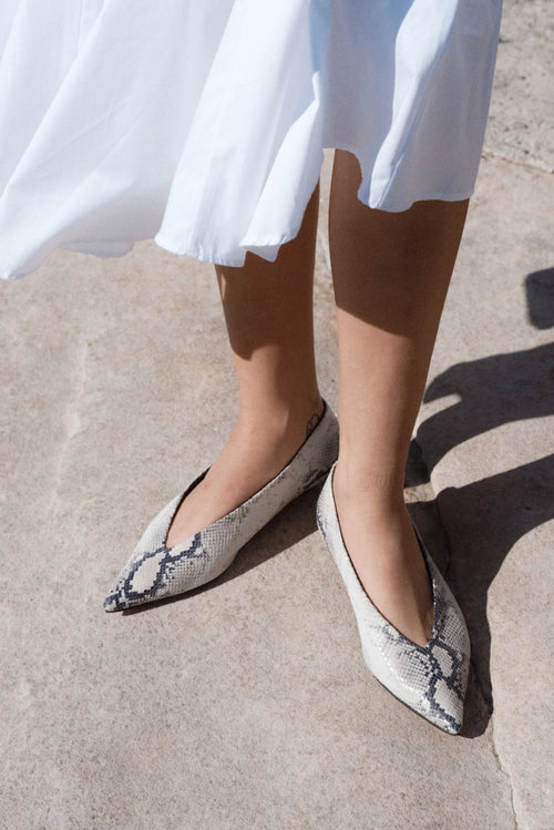 Claudia - Milk Python